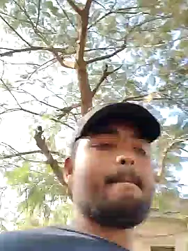 Cuty dev online show from December 4, 2024, 8:28 am