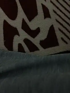 Snapshot of beautiful_hands_ chatting on March 26, 2026, 11:13 pm beautiful hands online show from March 26, 2026, 11:13 pm