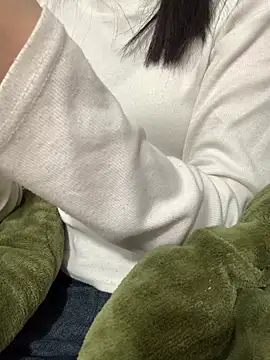 Vani S2 online show from December 30, 2024, 3:34 pm