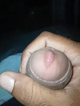 taylorWiiz online show from December 16, 2025, 11:14 am