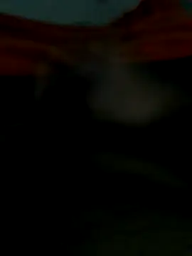 lm279 online show from October 25, 2025, 6:08 pm