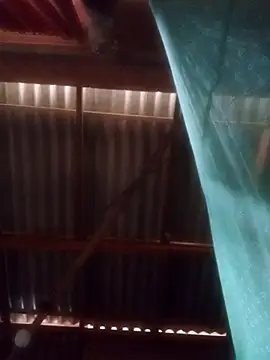 Snapshot of walkollanew99 chatting on March 25, 2026, 2:12 am walkollanew99 online show from March 25, 2026, 2:12 am