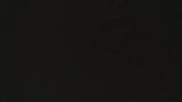 lily jamesx online show from November 14, 2025, 1:26 pm