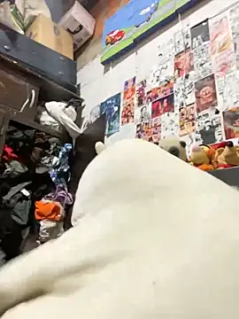 dafne19  online show from February 6, 2026, 4:08 am