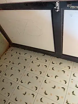 SnapIDRakesh4 online show from March 21, 2025, 7:11 am