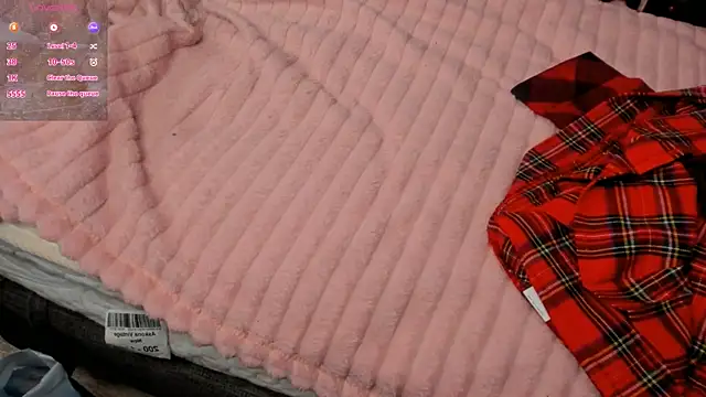 ZeldaDwight online show from December 20, 2024, 4:57 pm