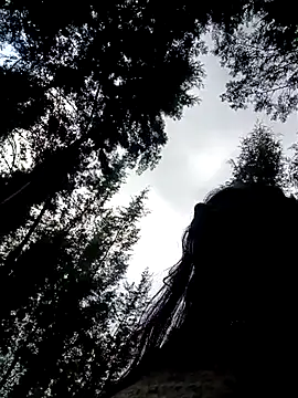 cindy damm online show from April 15, 2026, 6:56 pm