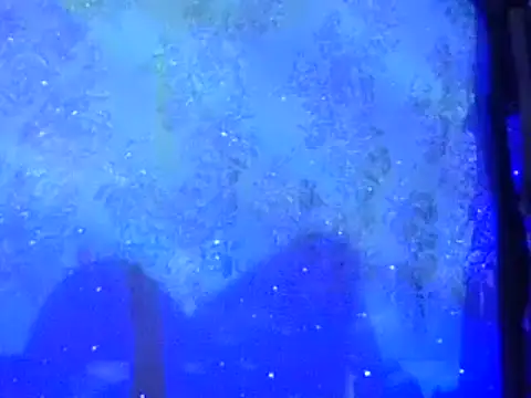 Phoenixmonroe0810 online show from February 1, 2025, 1:02 am