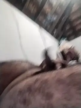 rajshank online show from December 24, 2024, 12:33 pm