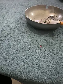 homidor online show from January 8, 2025, 6:41 pm