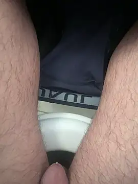 homidor online show from November 12, 2025, 9:13 am