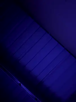 Snapshot of danielll2024 chatting on February 15, 2026, 11:20 am danielll2024 online show from February 15, 2026, 11:20 am