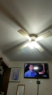 vanscr1 online show from December 20, 2024, 1:58 am