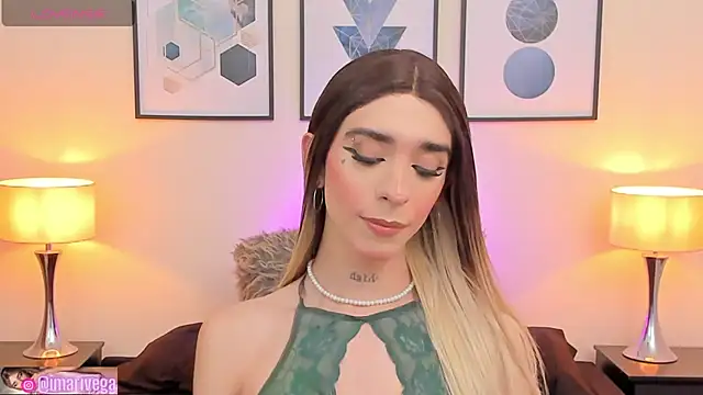 Snapshot of ariivega chatting on February 7, 2025, 1:36 am ariivega online show from February 7, 2025, 1:36 am