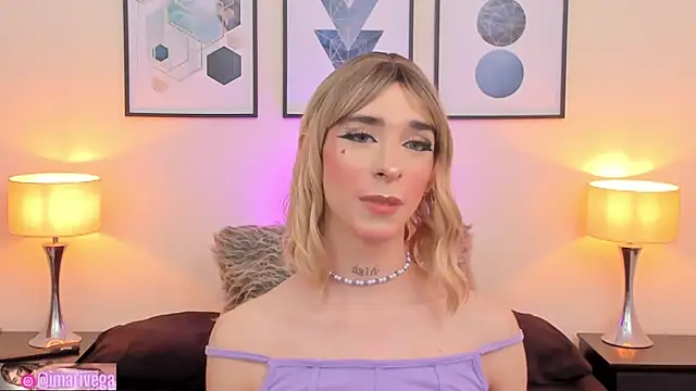 Snapshot of ariivega chatting on February 10, 2025, 11:34 pm ariivega online show from February 10, 2025, 11:34 pm