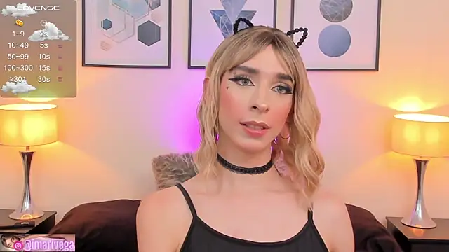 Snapshot of ariivega chatting on February 12, 2025, 4:33 am ariivega online show from February 12, 2025, 4:33 am