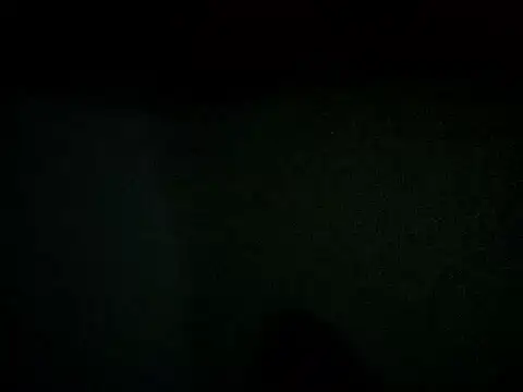 Snapshot of lilbishmiss chatting on February 9, 2025, 12:19 pm lilbishmiss online show from February 9, 2025, 12:19 pm