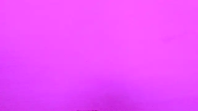 Habibi big b online show from November 16, 2025, 11:48 am