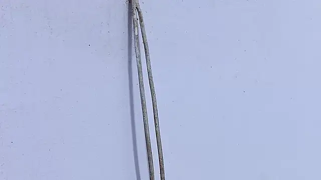 Habibi big b online show from April 19, 2026, 5:25 pm