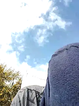 dhaadhawe online show from March 21, 2026, 11:58 am