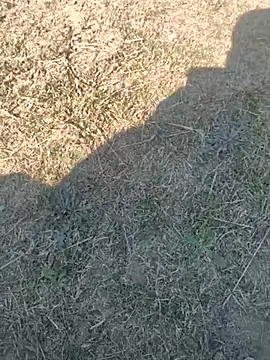 Gururonny07 online show from February 13, 2025, 7:24 am