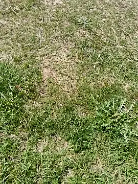 Gururonny07 online show from March 6, 2025, 7:58 am