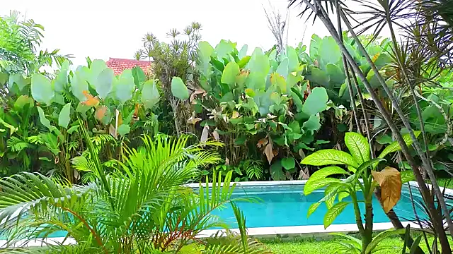  Katie Dierse online show from February 9, 2026, 5:38 am