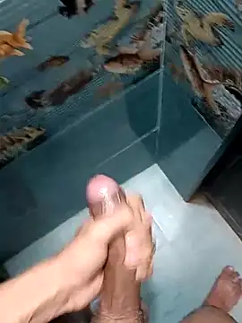 Mr joh online show from February 7, 2026, 5:26 am