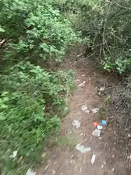 lavidadebry   online show from September 8, 2025, 3:00 pm