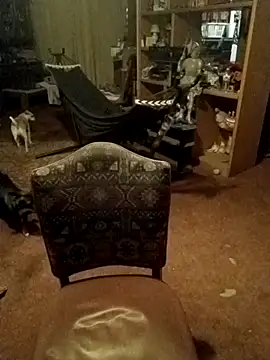 Snapshot of wilsons12 chatting on February 14, 2026, 11:10 am wilsons12 online show from February 14, 2026, 11:10 am