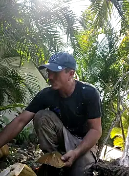 mexlog online show from October 31, 2025, 5:09 pm