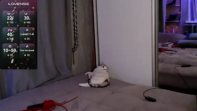 Carrie Moonshine online show from March 16, 2025, 12:45 am