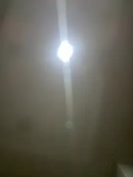 pawmistry online show from March 5, 2026, 3:58 am