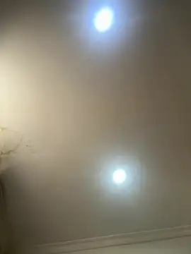 Snapshot of pawmistry chatting on July 8, 2026, 7:36 pm pawmistry online show from July 8, 2026, 7:36 pm