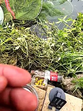 huzi518 online show from October 25, 2025, 3:38 am