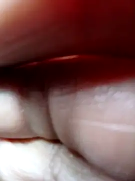 catopper0001 online show from October 31, 2025, 12:24 pm