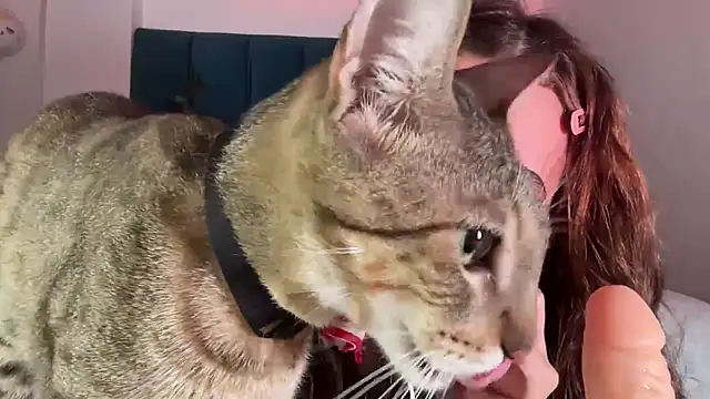 Snapshot of alice_guerin_ chatting on February 20, 2026, 6:19 am alice guerin online show from February 20, 2026, 6:19 am