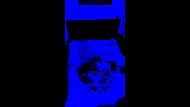 Snapshot of LuggiJack chatting on February 28, 2026, 7:02 pm LuggiJack online show from February 28, 2026, 7:02 pm