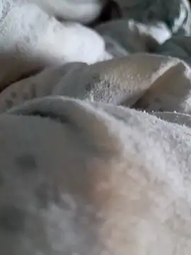 Snapshot of Fabio86semsimi chatting on March 11, 2025, 11:15 pm Fabio86semsimi online show from March 11, 2025, 11:15 pm