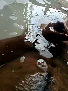 mysterious guy kakashi1 online show from February 22, 2026, 9:44 am