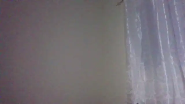 sweets 80 online show from October 10, 2025, 5:25 pm