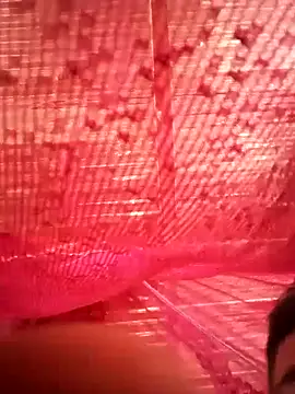 tekashiloco online show from September 13, 2025, 3:01 pm