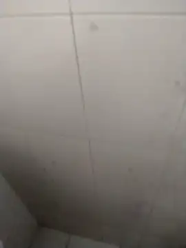 Snapshot of rohitlov150 chatting on September 18, 2025, 2:53 pm rohitlov150 online show from September 18, 2025, 2:53 pm