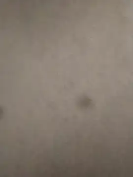 Snapshot of rohitlov150 chatting on February 23, 2025, 6:12 pm rohitlov150 online show from February 23, 2025, 6:12 pm