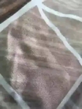 rohitlov150 online show from March 16, 2026, 10:19 am