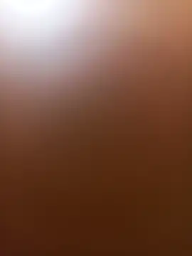 Snapshot of wildfox566 chatting on June 14, 2026, 3:52 am wildfox566 online show from June 14, 2026, 3:52 am