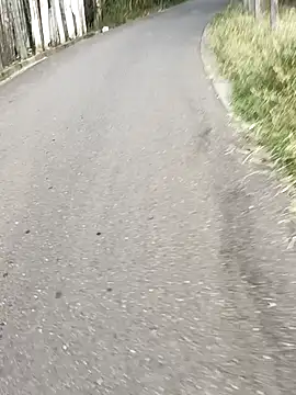 C vas  online show from December 10, 2024, 11:54 am