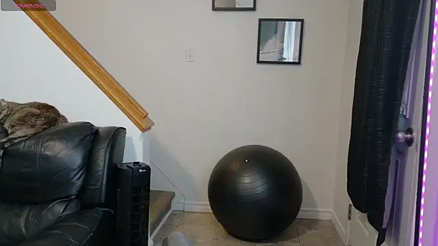 Thekodyy online show from November 12, 2025, 1:59 pm