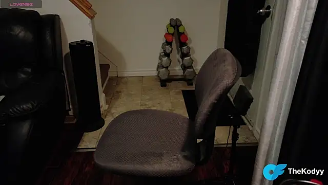 Thekodyy online show from January 17, 2026, 8:07 am