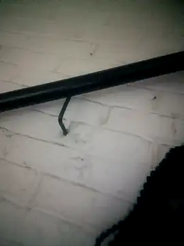 Shria107 online show from February 20, 2026, 11:50 pm